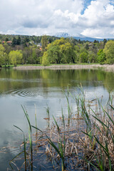 Spring Landscape of Pancharevo lake, Bulgaria