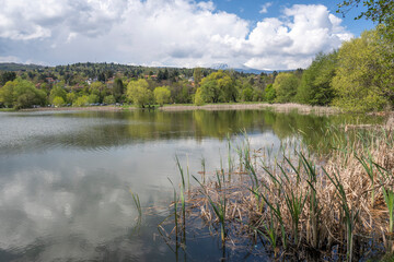 Spring Landscape of Pancharevo lake, Bulgaria