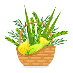 Jewish religious holiday Sukkot - Feast of Tabernacles or Festival of Ingathering. Wicker basket with traditional symbols of the Judaic festival is etrog, lulav, hadas, arava. Plant branches and lemon