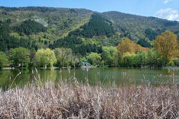 Spring Landscape of Pancharevo lake, Bulgaria