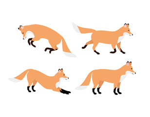 Vector set of flat hand drawn fox isolated on white background