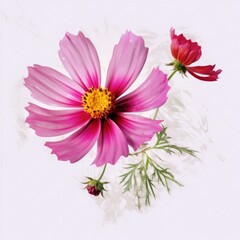 A cosmos flower on white background. Generative AI. 