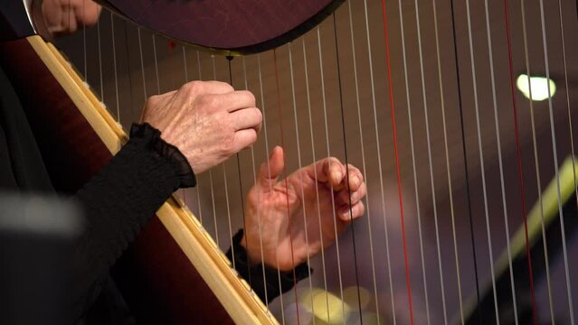person playing the harp