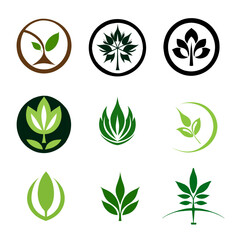 set of green eco icons, leaf logo vectors