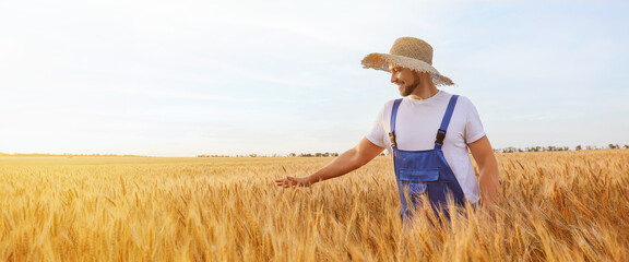 Naklejka na ściany i meble Farmer in wheat field on sunny day