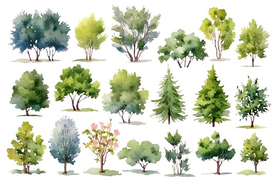 set of different watercolor trees on white background, isolated drawings of trees on transparent background, clipart green trees, generative ai