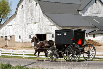 Fototapeta na wymiar Amish buggy passes white barn