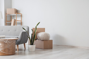 Sofa with cardboard boxes in living room on moving day