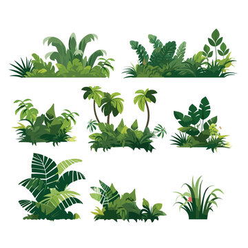 jungle set vector flat minimalistic isolated illustration
