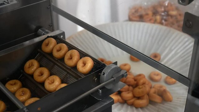 Ready-made fresh fried mini donuts. Line for making mini donuts on the conveyor. Preparation of baked goods in factory. Step 3