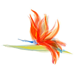 Bird of paradise expressive art, artistic creative vector illustration of tropical exotic flower bird of paradise, Strelitzia reginae, tropical summer floral watercolor effect on white background