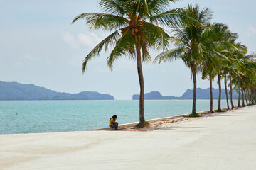 Beach with coconut trees and sea