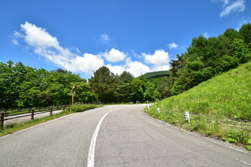 Fototapeta na wymiar 日本の田舎の道路と鮮やかな青空