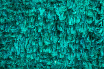 Obraz premium Texture of emerald fabric from feathers