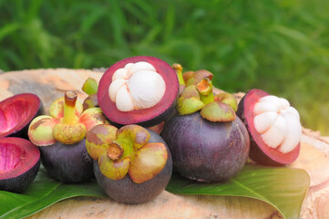 Mangosteen, fresh from the farmer's garden in the south, Thailand is the number 1 delicious, selective focus

