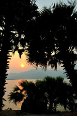 evening sun and the atmosphere of a large lake
