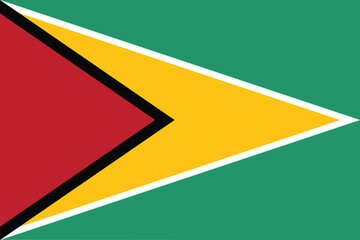 Guyana flag. Flag of Guyana design shape. 