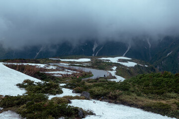 fog in the mountains