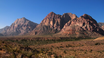 Spring Mountains in Nevada