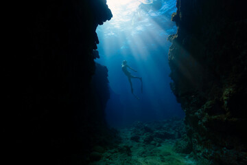 ocean freediving diving underwater photography blue ocean lovers beauty divers freedom