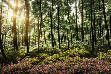 Obraz premium forest, tree, nature, green, landscape, wood, jungle, natural