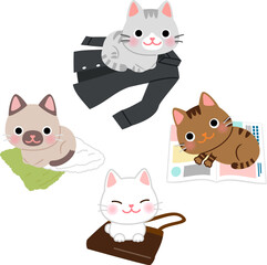 服や雑誌の上に座る猫のイラストセット