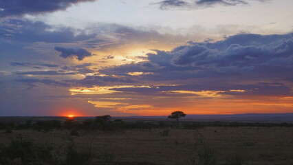 Fototapeta na wymiar sunset in masai mara