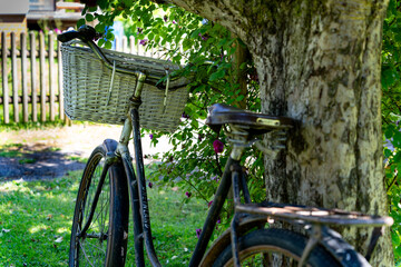 Fototapeta na wymiar Altes Fahrrad unter einem Obstbaum
