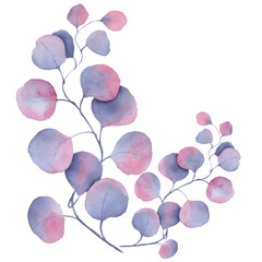 watercolor leaves on transparent background