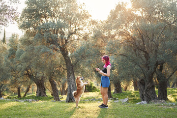 Naklejka premium girl with pink hair and a dog for a walk at sunset. Pet in the olive grove. Shiba Inu in the sun