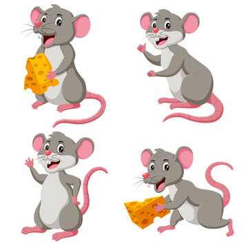 Cartoon mouse set. Grey furry rodent little rat with pink hairless tail. Vector illustration