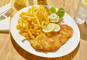 Wiener Schnitzel mit Pommes Frites - Essen & Trinken im Biergarten