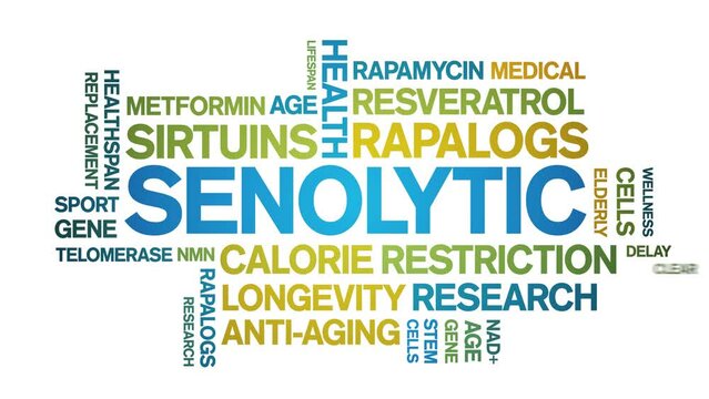 Senolytic animated tag word cloud;text design animation kinetic typography seamless loop.