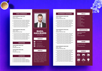 Business Resume Layout