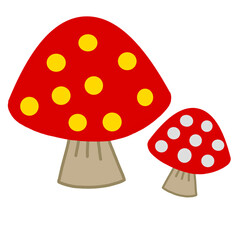 fly agaric mushroom