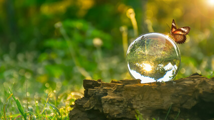 World environment day concept.Globe Glass with butterfly. circular economy renewable energy . sustainable development goals.Environmental protection renewable energy, green business, ESG