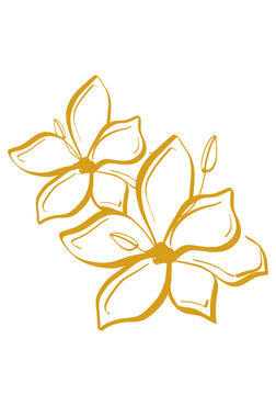 Elegant sampaguita flower in Gold stencil