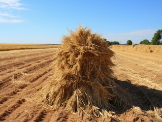 Proverbial Challenge: Needle in a Haystack - AI Generated
