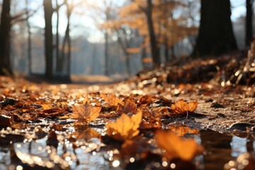 autumn leaves and tree landscape - obrazy, fototapety, plakaty