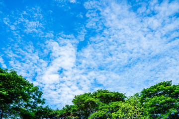 Fototapeta premium clouds and blue sunny sky, white clouds over blue sky, Aerial view, nature blue sky white cleat weather.