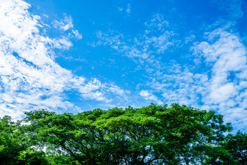 clouds and blue sunny sky,  white clouds over blue sky, Aerial view,  nature blue sky white cleat weather.