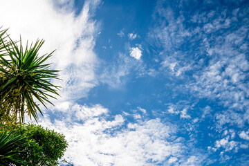 clouds and blue sunny sky,  white clouds over blue sky, Aerial view,  nature blue sky white cleat...