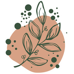 illustration of a background floral decoration on transparent background