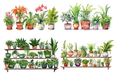 Watercolor flowers on a white background without shadows for illustration.