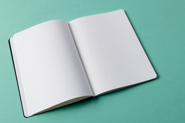 Close up of open book with copy space on green background