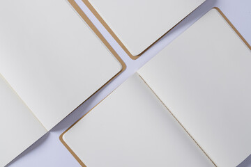 Close up of open books with copy space on white background