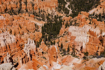 View from Rim Trail near Lower Inspiration Point in Bryce Canyon National Park during spring.
