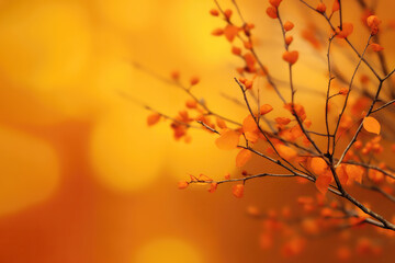 Autumn Tree Branches On Defocused Orange Background. Generative AI