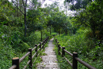 fenced pathway in a Chinese forest