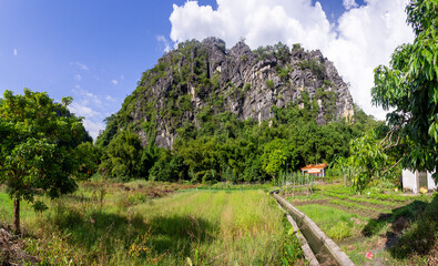 Rural China farmland landscape with trees, clouds and mountain in background